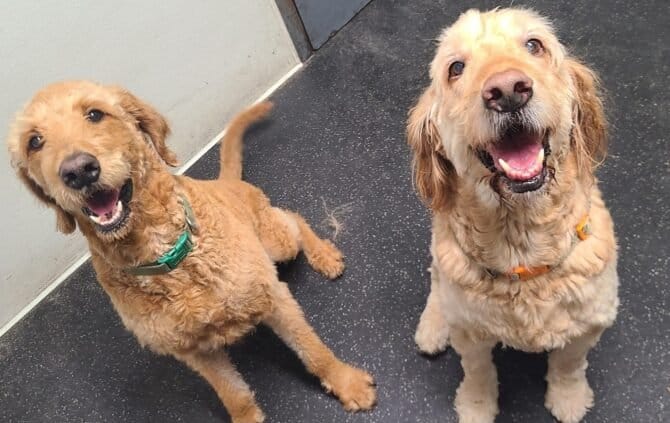 AF1QipNlIqxMv1gK7oJ HrKhs JtvtW6kpCFNf2tYTcTw1600 h1000 k no