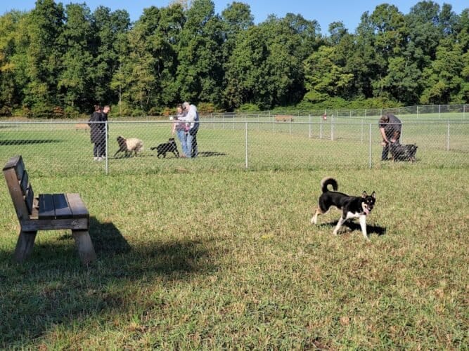 AF1QipNn6yodVPV3zYwkoh1g4LVQOewgwZSoCJ2kKdxvw1600 h1000 k no