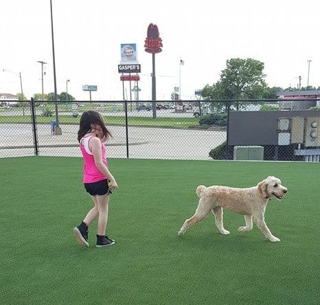 AF1QipNnMIayR13H7VyDmM7RnARYBNXSJBY5mTqPZe13w1600 h1000 k no