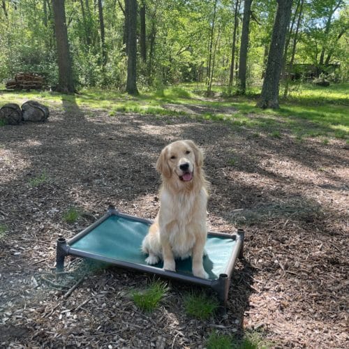 AF1QipNoJUqZUIHqkeSV519kQeCzp0u2sKT8QngiIZiCw1600 h1000 k no