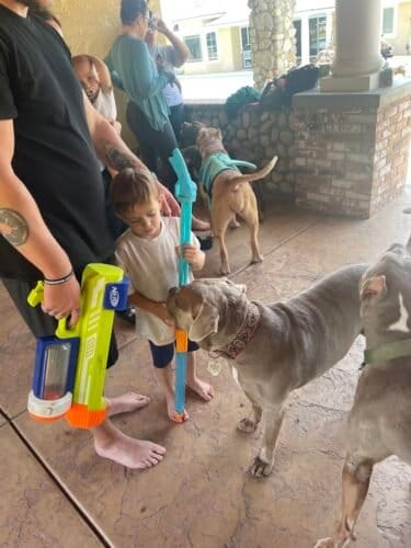 AF1QipNpJ0SjuOB7tKEcXT9VDdcjZ 9B8VgJsYOGOanSw1600 h1000 k no