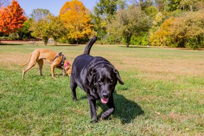 AF1QipNqCi67glWJXubKAJsfJm4jwQCvaZ2D2Lkyd3kaw1600 h1000 k no