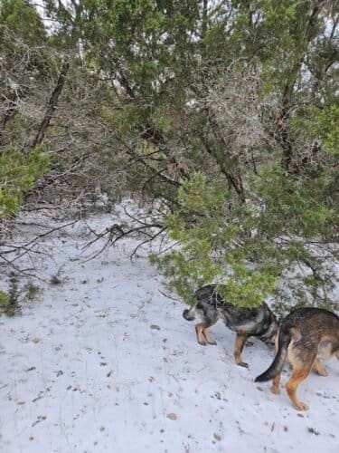 AF1QipNqDYZUK6hk4LMM2e 3uhDaXAL1Bz7GwKJl8Rp6w1600 h1000 k no