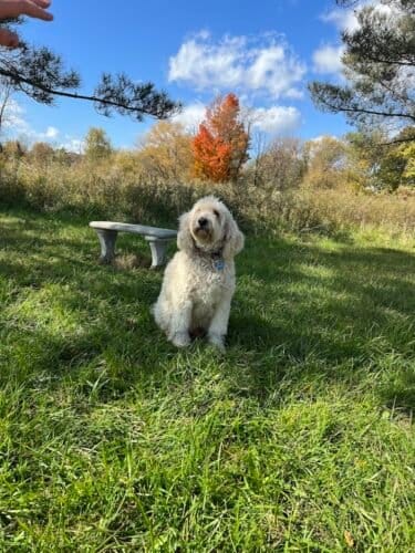 AF1QipNqbpofIdrdzwK5fLLmkPF ldRiG6oU1Wz2zDFJw1600 h1000 k no