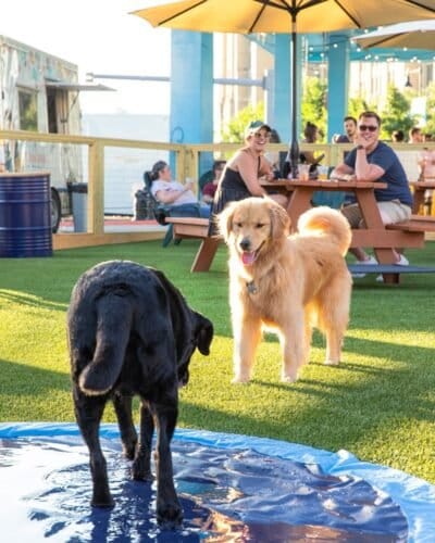 AF1QipNxe31Px WVHK0XxvySSa Ut2qSxD4tf 3IoCA w1600 h1000 k no