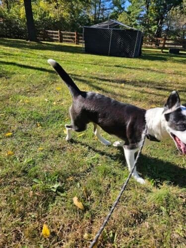 AF1QipNzOjppXVx0lTkstay3AVoO5P4GX0w4JCZht60Qw1600 h1000 k no