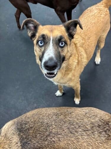 AF1QipO0JUvXtQMkdhhq79UJFnO8j0SVDdORQXnp6t8Fw1600 h1000 k no