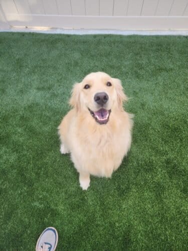 AF1QipO1IYsji4izWYoJc3T6qNwBfwuK3 yim4FW9aeIw1600 h1000 k no