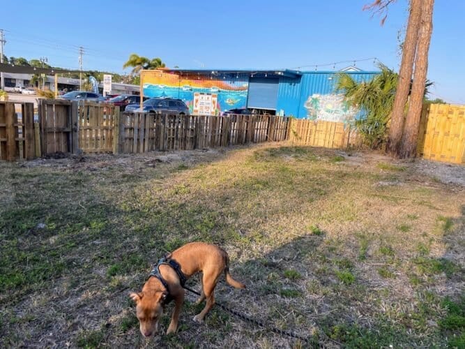 AF1QipO1Ismc7 oruoT6A1T DcZNwfe3 ZKLc2nP3JTjw1600 h1000 k no