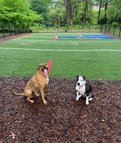 AF1QipO36X JdA03vvSundGjSeeIgbONL63C W2dDZOMw1600 h1000 k no