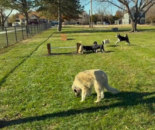 AF1QipO3Fu vuJ8s eSkPkujLt22FuTG0kAfjFgZZxw5w1600 h1000 k no