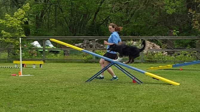 AF1QipO4UCaIyn9W7FOUsRFqeC1VF23KWWNcMTPUAjQsw1600 h1000 k no