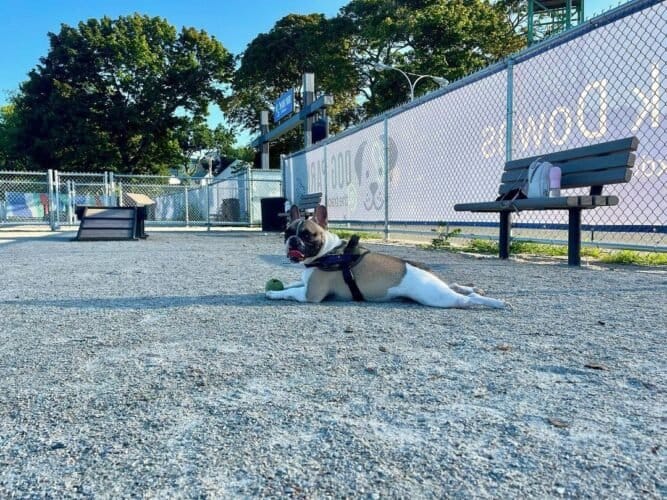 AF1QipO74qopNrAvWe3 QvwtMs UiZSwMlow8fE0Di0w1600 h1000 k no