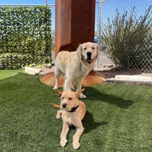 AF1QipO7KtPBoRSambiYX3Que ymoENaHZknAXORl9zmw1600 h1000 k no