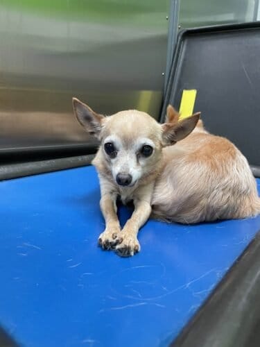 AF1QipO7MpHkccr G8nKmh6WPFYrqqDrezm P qmD35Ww1600 h1000 k no