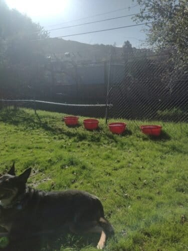 AF1QipO7x6TV t0eDvOCXNrStJ1zg43QJO3qkeX8x3Grw1600 h1000 k no