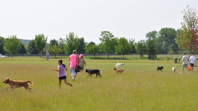 AF1QipO8Gr8w On88ZlrGYV6tTuC8wVWNbe4Dv9dkUjPw1600 h1000 k no