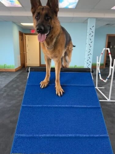 AF1QipO8WQxOB592 kgJMud4tkTJkcppEhF8ovObzOlw1600 h1000 k no