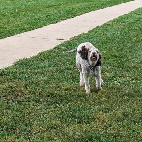 AF1QipO9pq4NUStzKJLIdKpy5V1k6dD Vi3QYm 12bnWw1600 h1000 k no