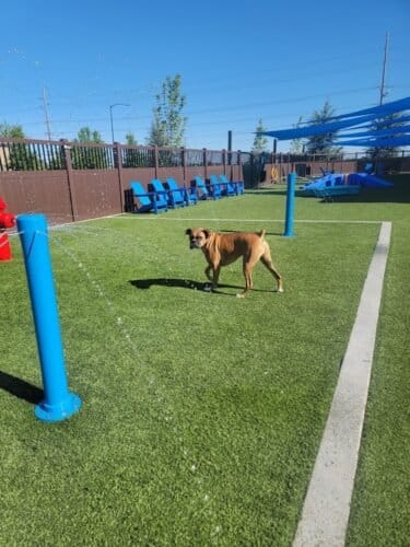 AF1QipO9vgck3nx3FNInv2MF5oETtQkD dT5XEUiUHMvw1600 h1000 k no