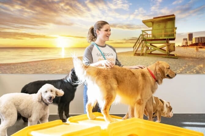 AF1QipOD4PJ5ff6P B0QoF6KpsXQx4E3Xyxk xgHjsr5w1600 h1000 k no