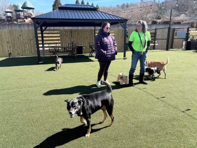 AF1QipODkd9iP2S1Of3T5rEN8quP0kbJRRfMJTXu2wSYw1600 h1000 k no