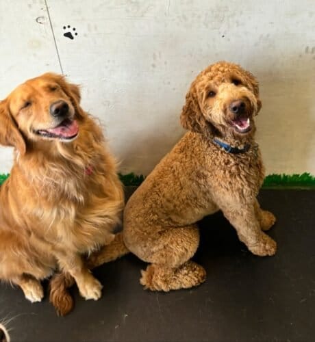 AF1QipOEE mfixqDcZUes01u2IQ edOCYjHWGthwXYbEw1600 h1000 k no