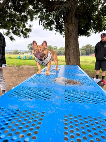 AF1QipOEh0sK LpoRMEgk6mJA4aNrmtXyTvTmCop1ePSw1600 h1000 k no