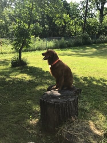 AF1QipOGmZQYugEFoLm dh9N6AOsMO8aWHUWOaBuf10Ew1600 h1000 k no