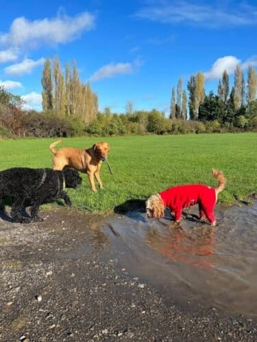 AF1QipOHHIo4KwOCDIQ9qV7Mzh8dbinfTwqLpyFtd2RGw1600 h1000 k no