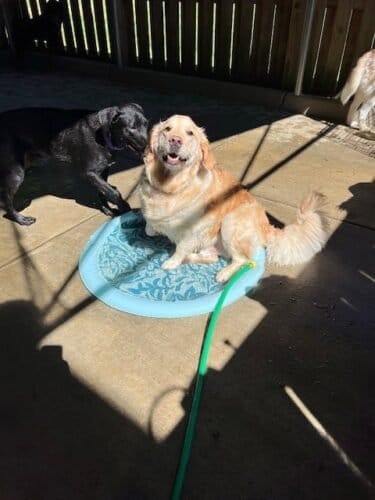 AF1QipOK8ZQtP1hfz6QmsXFJ17bgZ8ER2X62xekon3L4w1600 h1000 k no