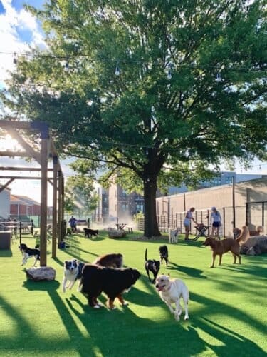 AF1QipOLUOP72SeqM79vJpiKvEjukspEdjrAY JHVZrgw1600 h1000 k no