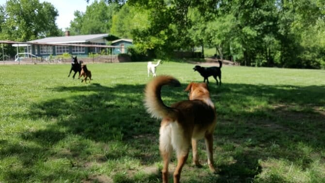 AF1QipOUQYVN dsKwmkswq07ULk3fMAxHYibLHqOT2Dcw1600 h1000 k no