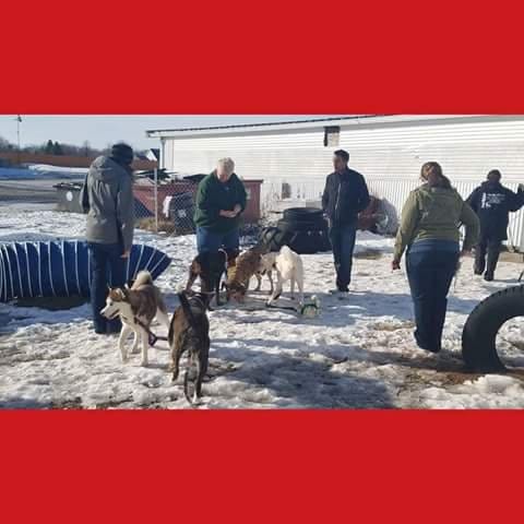 AF1QipOYJE5BhV11ua402m803j74zHLZfCbrCRay8FHPw1600 h1000 k no