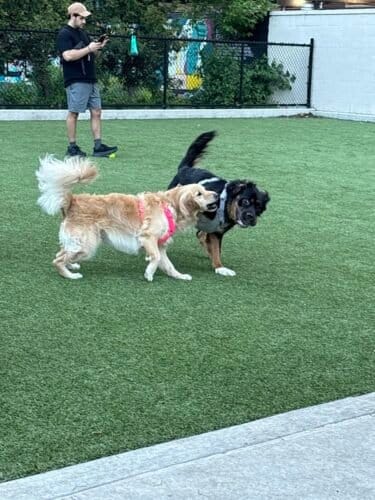 AF1QipOYc8Zt0HUFbtTxVfPDzw zO08PcYU4wC2Sosd2w1600 h1000 k no