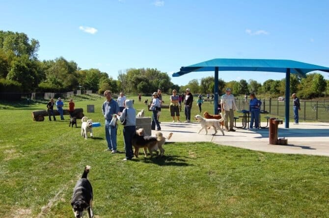 AF1QipOYn620iEObs0VfP3TuPEvhO1N0G Vs9ppETt2vw1600 h1000 k no