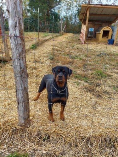 AF1QipOYysCnnY4U REIIkXTNx2yCo74Er o2mCAfNMTw1600 h1000 k no