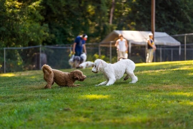 AF1QipOaoa56wZLvuUokJqMNbaz0Py EUAFW onVjOFUw1600 h1000 k no