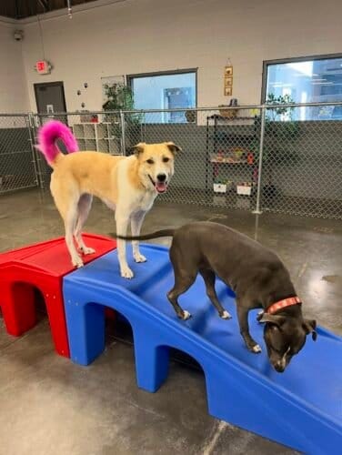 AF1QipObELj7J1YocBeqHEQyMxH1 sgtlOnInyoaEUaZw1600 h1000 k no