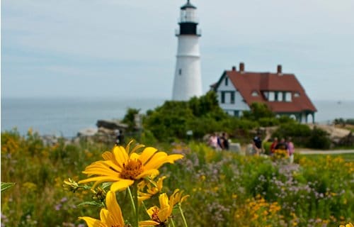 AF1QipObQuV4XAZ Ck FAnZZ6x9DuT4AOPZSixA1Ddnxw1600 h1000 k no