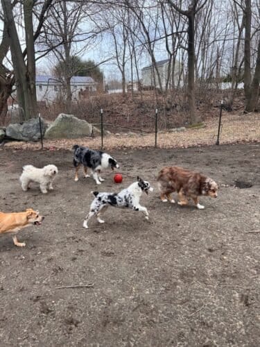 AF1QipOcHvYIGFQkE5MD5VtMXVKwTD0FEsz0kXQfV9Dfw1600 h1000 k no