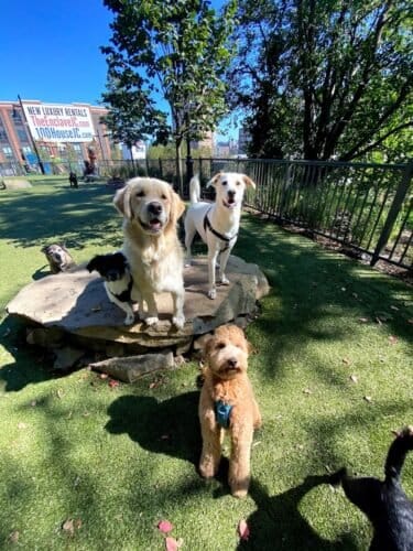 AF1QipOdVKhHeqbZAHvxhlAq5ehnwTe7BojEX9saCrBdw1600 h1000 k no