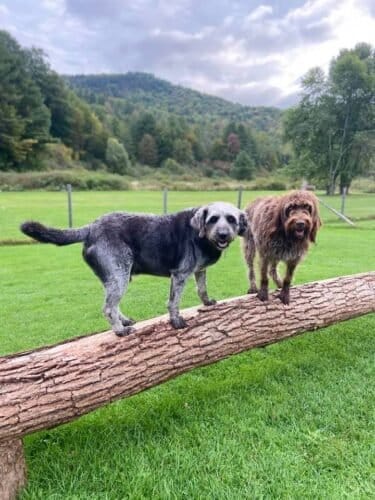 AF1QipOeUu2hmg GYT2STZzF16SWBsRGvAGZXc0MEAsw1600 h1000 k no