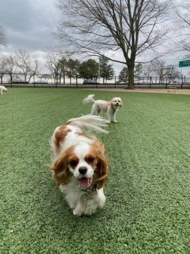 AF1QipOfso7727TuuxnaHfq5QlxFiSE85Uh2o1C5dZxnw1600 h1000 k no