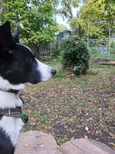 AF1QipOgcAUsVQsKk53ZCrT tpQOkmXJ qSaonTYqjdAw1600 h1000 k no