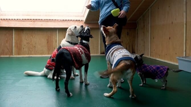 AF1QipOgh5LCC1 ay7HV0geKi5GwcFmSf9GZgM5 Xufxw1600 h1000 k no