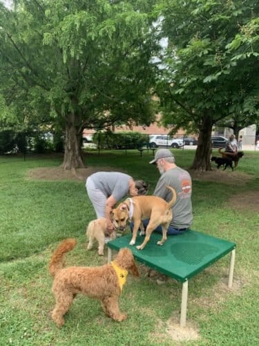 AF1QipOhjnbOin49cZrlrbkOB5c3QpPyOsCy9VeRfQNOw1600 h1000 k no