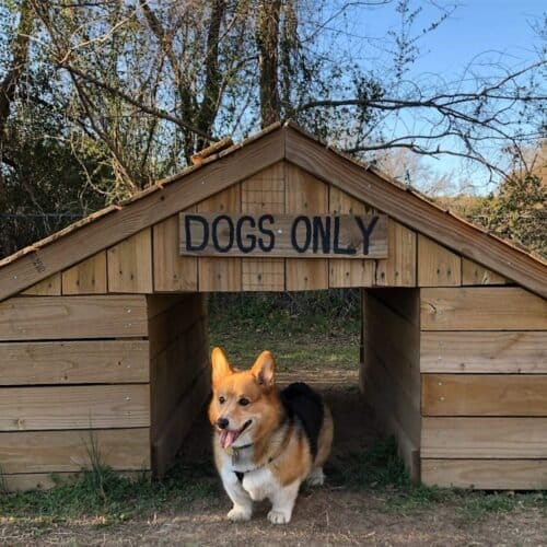 AF1QipOijXnvxUgP49U Idjn JMdFrQ41kq7I8HF0miaw1600 h1000 k no