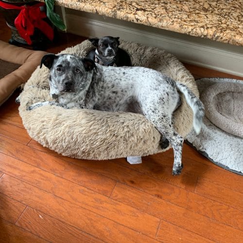 AF1QipOiwbBtMACfp1SphGv80nLeZk0zmvUOFW3mcFXNw1600 h1000 k no