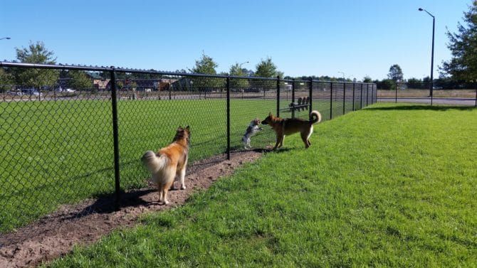 AF1QipOlPq jlSWBLh0PepN6ZTjBVKyGpEM KIqqnzeZw1600 h1000 k no